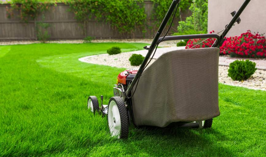 Lawn Mowing