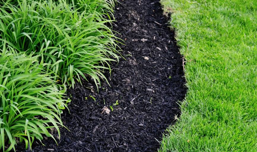 Mulch Installation